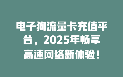 电子狗流量卡充值平台，2025年畅享高速网络新体验！