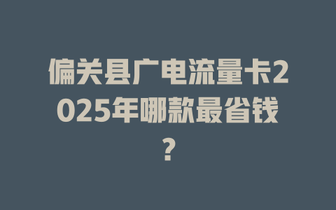 偏关县广电流量卡2025年哪款最省钱？