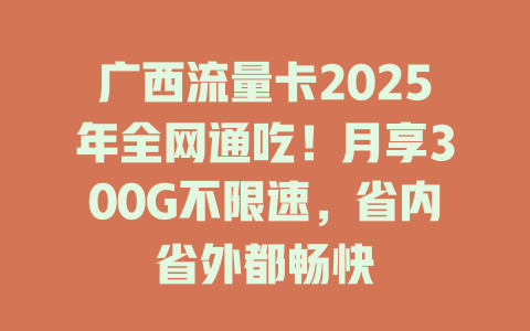 广西流量卡2025年全网通吃！月享300G不限速，省内省外都畅快
