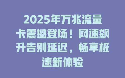 2025年万兆流量卡震撼登场！网速飙升告别延迟，畅享极速新体验