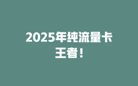 2025年纯流量卡王者！
