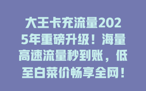 大王卡充流量2025年重磅升级！海量高速流量秒到账，低至白菜价畅享全网！