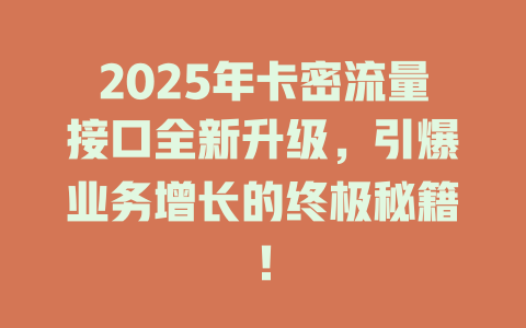 2025年卡密流量接口全新升级，引爆业务增长的终极秘籍！
