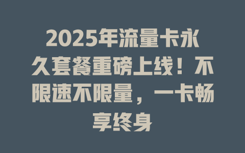 2025年流量卡永久套餐重磅上线！不限速不限量，一卡畅享终身