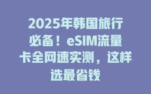 2025年韩国旅行必备！eSIM流量卡全网速实测，这样选最省钱