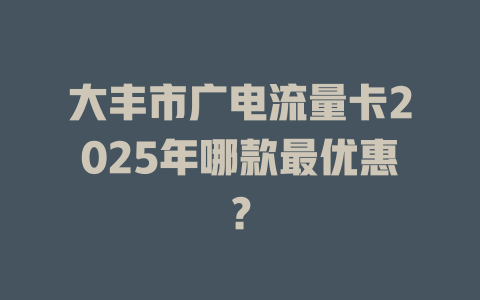 大丰市广电流量卡2025年哪款最优惠？