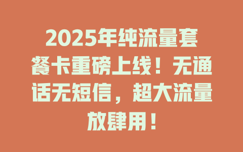 2025年纯流量套餐卡重磅上线！无通话无短信，超大流量放肆用！