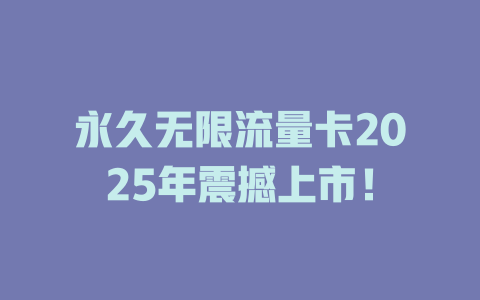 永久无限流量卡2025年震撼上市！