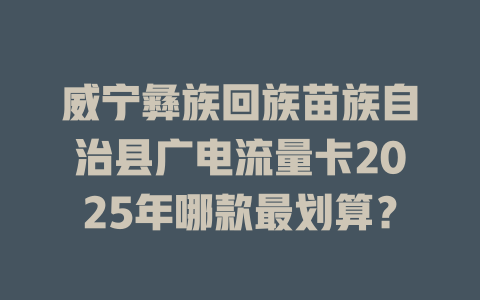 威宁彝族回族苗族自治县广电流量卡2025年哪款最划算？
