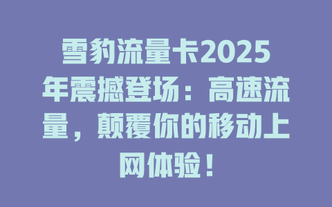 雪豹流量卡2025年震撼登场：高速流量，颠覆你的移动上网体验！