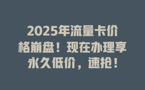 2025年流量卡价格崩盘！现在办理享永久低价，速抢！