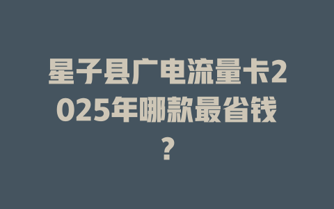 星子县广电流量卡2025年哪款最省钱？