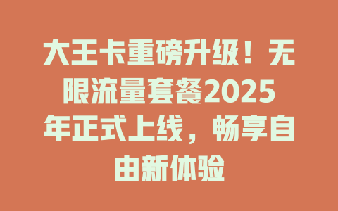 大王卡重磅升级！无限流量套餐2025年正式上线，畅享自由新体验