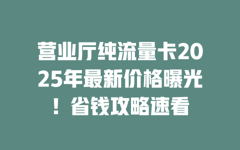 营业厅纯流量卡2025年最新价格曝光！省钱攻略速看