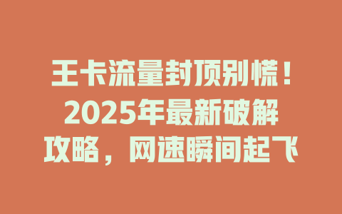 王卡流量封顶别慌！2025年最新破解攻略，网速瞬间起飞