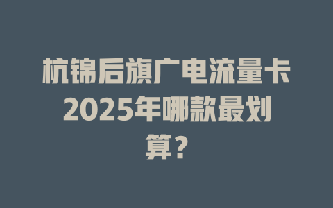 杭锦后旗广电流量卡2025年哪款最划算？