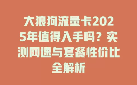 大狼狗流量卡2025年值得入手吗？实测网速与套餐性价比全解析