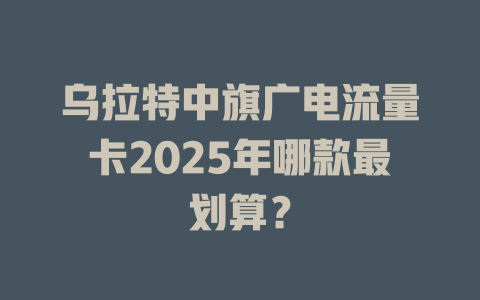 乌拉特中旗广电流量卡2025年哪款最划算？