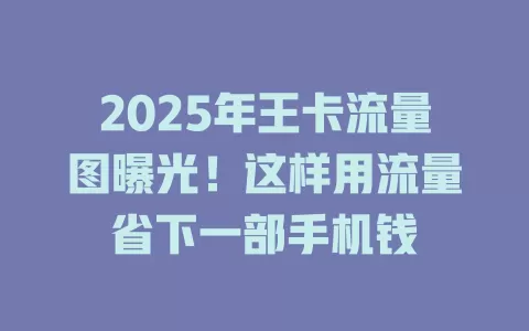 2025年王卡流量图曝光！这样用流量省下一部手机钱