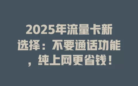 2025年流量卡新选择：不要通话功能，纯上网更省钱！
