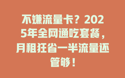 不嫌流量卡？2025年全网通吃套餐，月租狂省一半流量还管够！