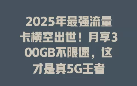 2025年最强流量卡横空出世！月享300GB不限速，这才是真5G王者
