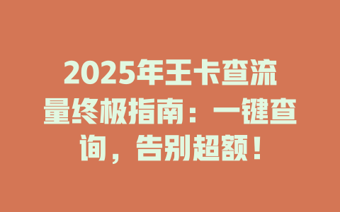 2025年王卡查流量终极指南：一键查询，告别超额！