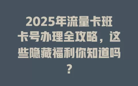 2025年流量卡班卡号办理全攻略，这些隐藏福利你知道吗？
