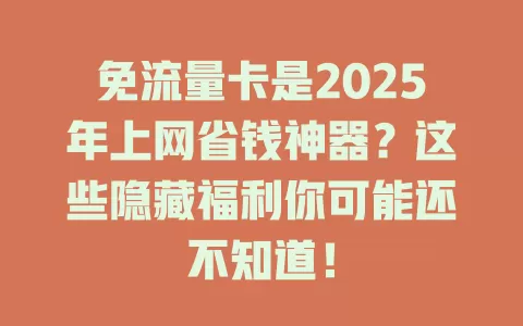 免流量卡是2025年上网省钱神器？这些隐藏福利你可能还不知道！