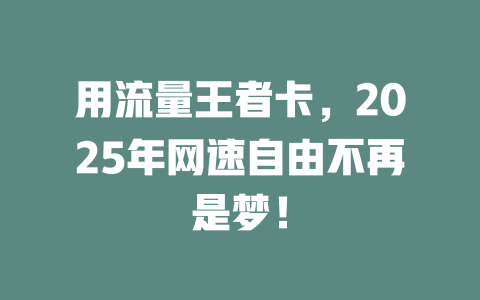 用流量王者卡，2025年网速自由不再是梦！