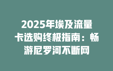 2025年埃及流量卡选购终极指南：畅游尼罗河不断网