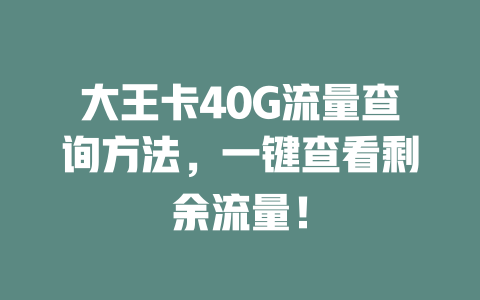 大王卡40G流量查询方法，一键查看剩余流量！