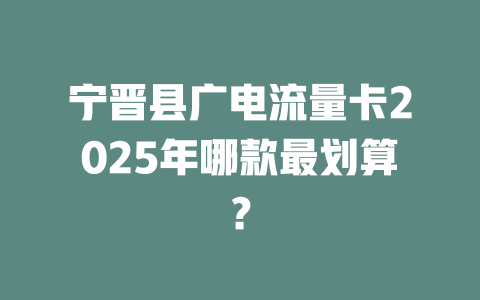宁晋县广电流量卡2025年哪款最划算？