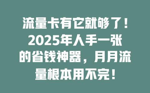 流量卡有它就够了！2025年人手一张的省钱神器，月月流量根本用不完！