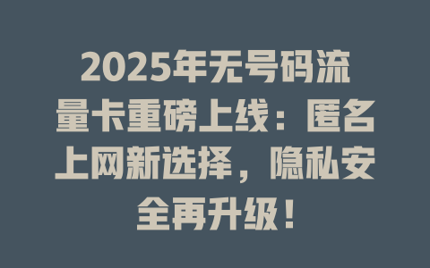 2025年无号码流量卡重磅上线：匿名上网新选择，隐私安全再升级！