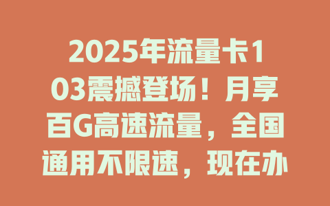 2025年流量卡103震撼登场！月享百G高速流量，全国通用不限速，现在办理还送额外福利！