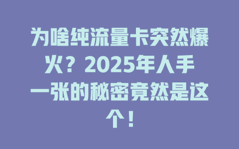 为啥纯流量卡突然爆火？2025年人手一张的秘密竟然是这个！
