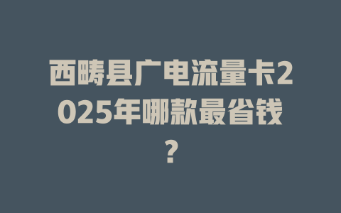 西畴县广电流量卡2025年哪款最省钱？