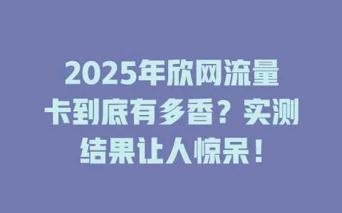 2025年欣网流量卡到底有多香？实测结果让人惊呆！