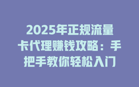 2025年正规流量卡代理赚钱攻略：手把手教你轻松入门