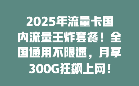 2025年流量卡国内流量王炸套餐！全国通用不限速，月享300G狂飙上网！