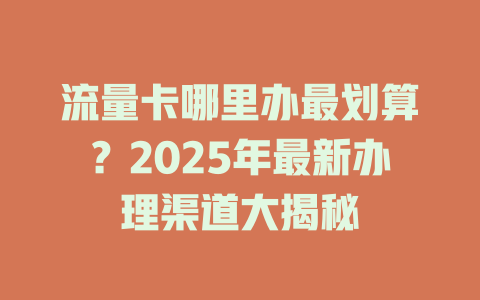 流量卡哪里办最划算？2025年最新办理渠道大揭秘