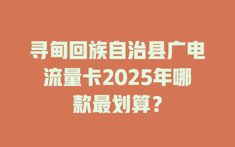 寻甸回族自治县广电流量卡2025年哪款最划算？
