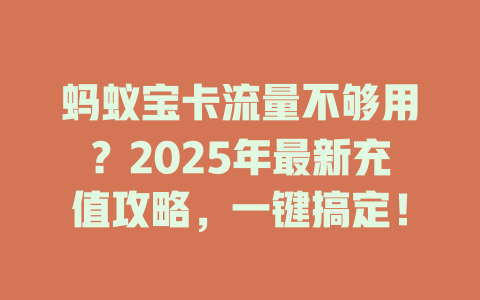 蚂蚁宝卡流量不够用？2025年最新充值攻略，一键搞定！