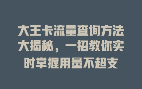 大王卡流量查询方法大揭秘，一招教你实时掌握用量不超支