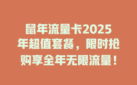 鼠年流量卡2025年超值套餐，限时抢购享全年无限流量！