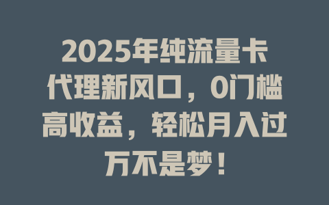 2025年纯流量卡代理新风口，0门槛高收益，轻松月入过万不是梦！
