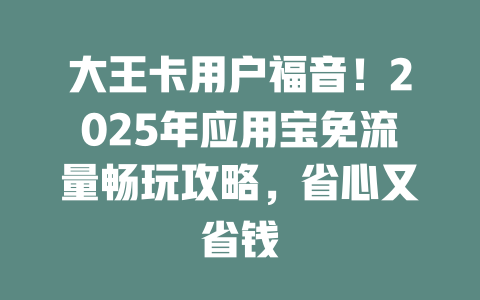 大王卡用户福音！2025年应用宝免流量畅玩攻略，省心又省钱
