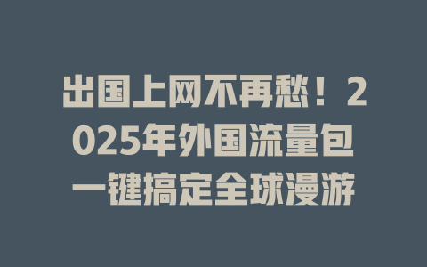 出国上网不再愁！2025年外国流量包一键搞定全球漫游