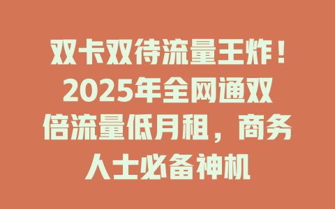 双卡双待流量王炸！2025年全网通双倍流量低月租，商务人士必备神机
